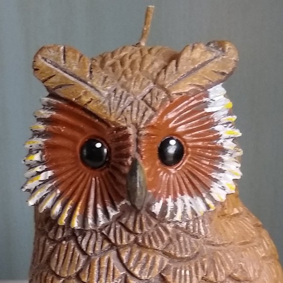 Owl Carved Candle - Picture 2 of 6